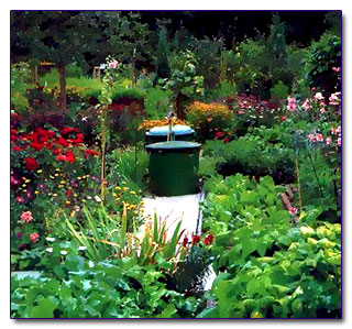 Бочки с водой посреди сада также сэкономят ваши силы и время.