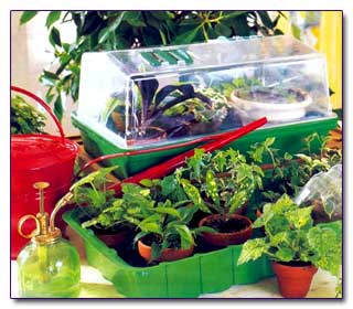 Аксессуары для выращивания комнатных растений