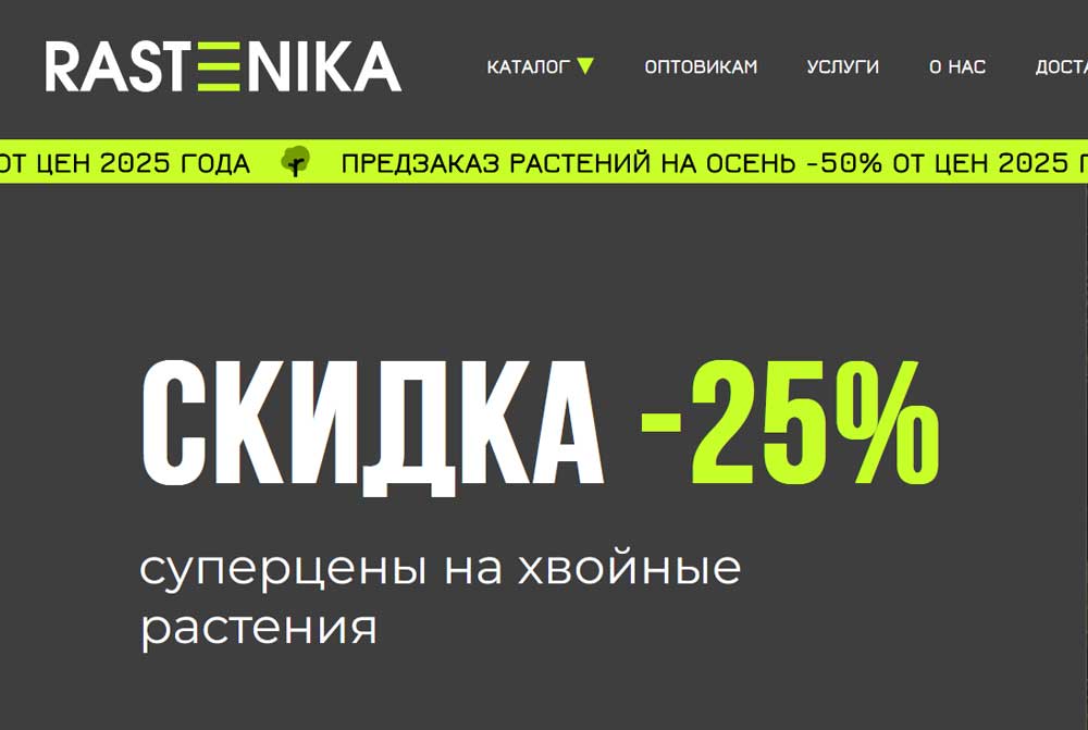 Создание сада из хвойных растений: цвет, текстура и размер