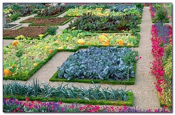 Планировка сада и огорода. 50 разумных идей